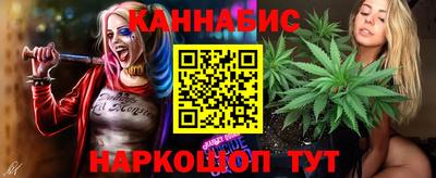 стаф Бийск