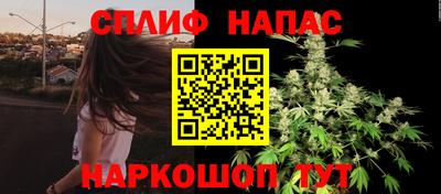 стаф Бийск