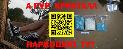 стаф Бийск